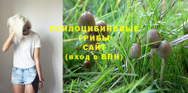соль курить ск Балабаново