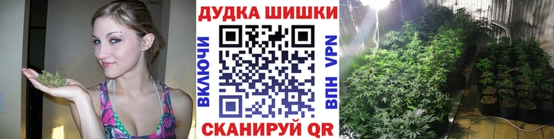 Канабис OG Kush  где купить наркоту  KRAKEN маркетплейс  Велиж 